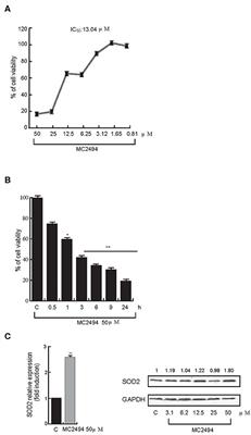 The Pan-Sirtuin Inhibitor MC2494 Regulates Mitochondrial Function in a Leukemia Cell Line